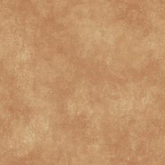 TIERRA BEIGE