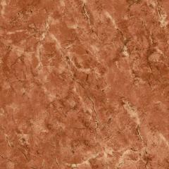 VENECIA CORAL